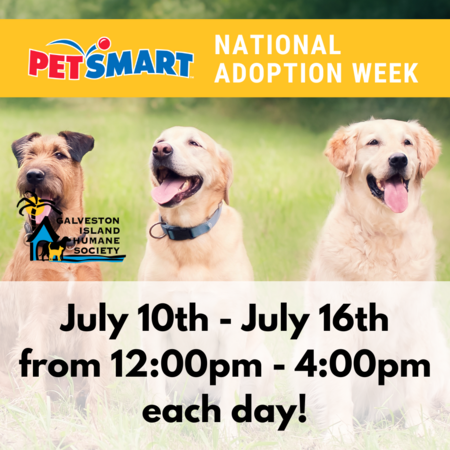 Petsmart free online adoption day